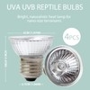 LUCKY HERP 4 Pack 50W UVA UVB Reptile Light Bulbs,