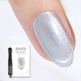 Bandi art magnets (self-nail net magnet) - Art Magnet Nail Ring