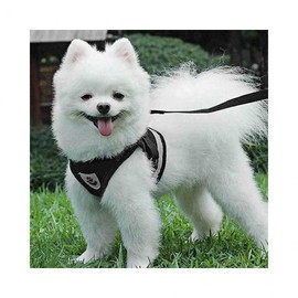 LuminaD Pet Walking Leash Set Walking Supplies