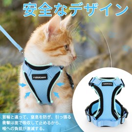 Rabbitgoo Cat Harness and Leash Set, Suitable for Both Cats and Dogs, for Extra Small and Small Dogs, Escape-Proof, Soft Chest Pad and Lightweight, Easy to Put On Without Lifting Legs, Adjustable