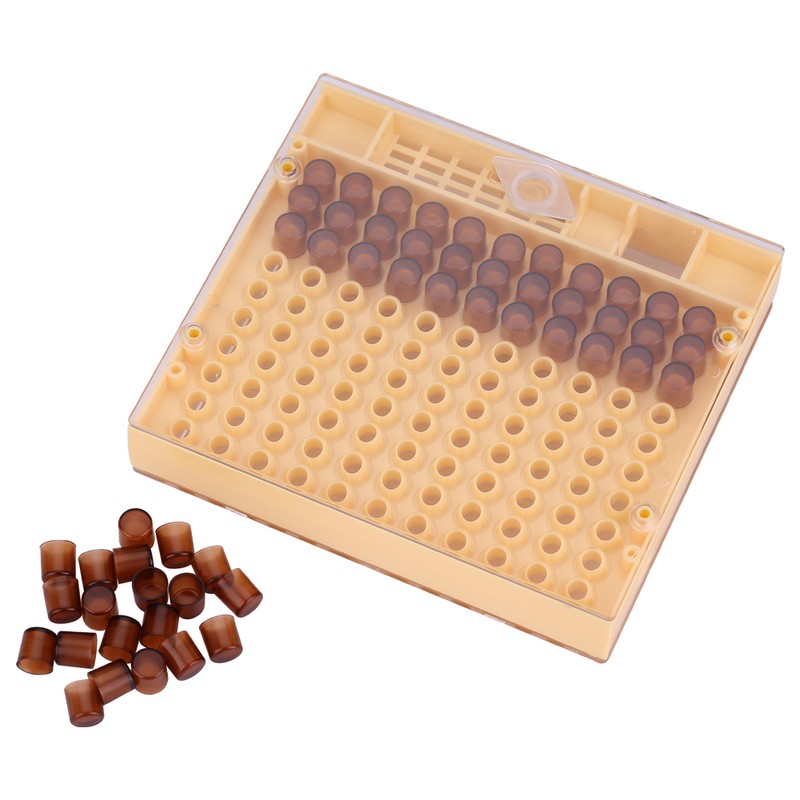 Queen Rearing Cup Kit Bee Cultivating Tool Plastic Beekeeping Box