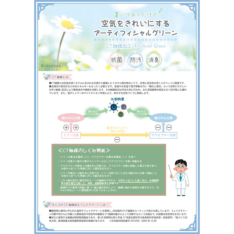 Kishima (Kishima) Eclea Deodorizing Artificial Green, Green, Size: Approx. W
