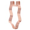 1 Piece Bathing Suit Cookie Cutter