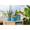 elho The Ocean Collection Round 22cm - Flower Pot Indoor
