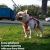 Huntboo Escape Proof Dog Harness, Escape Artist Harness, Reflective Dog