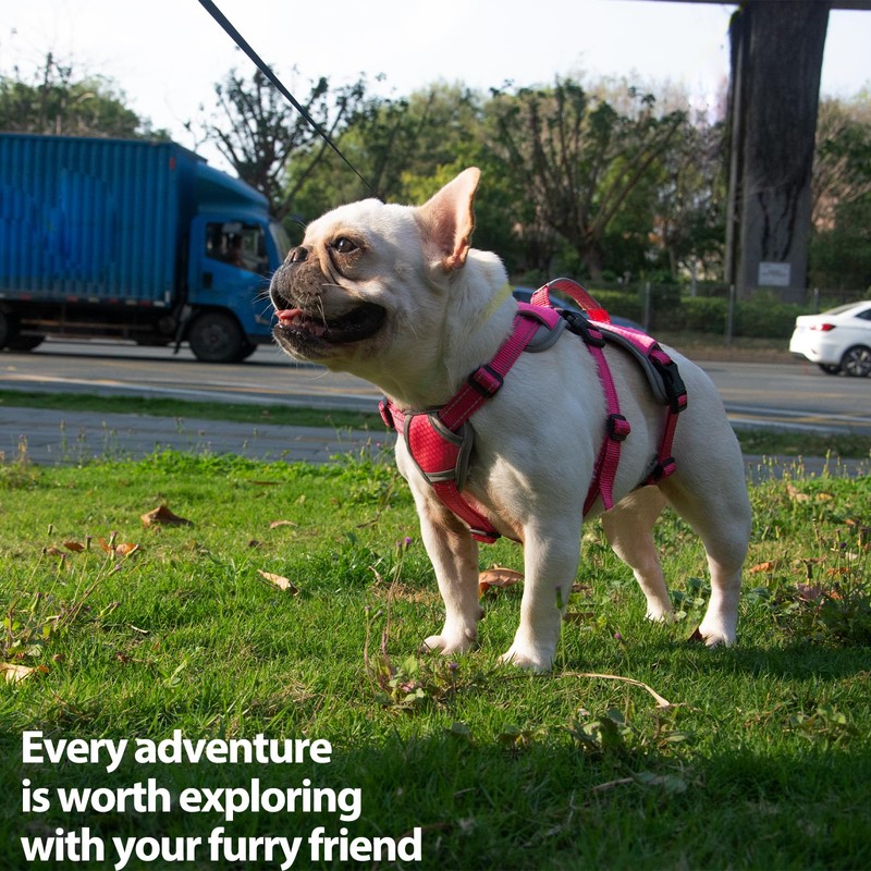 Huntboo Escape Proof Dog Harness, Escape Artist Harness, Reflective Dog