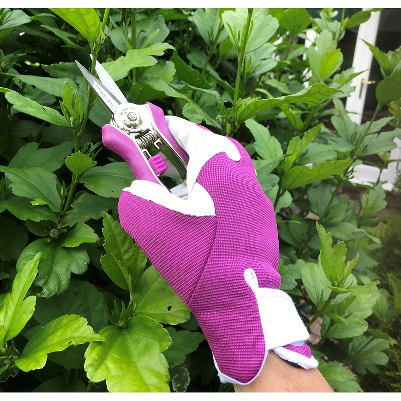 Ladies Gardening Mini Pruner Secateurs Set - Two Razor Sharp