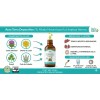 Extracto Herbal 60 Ml Cardo Mariano Diente De León Auraterra