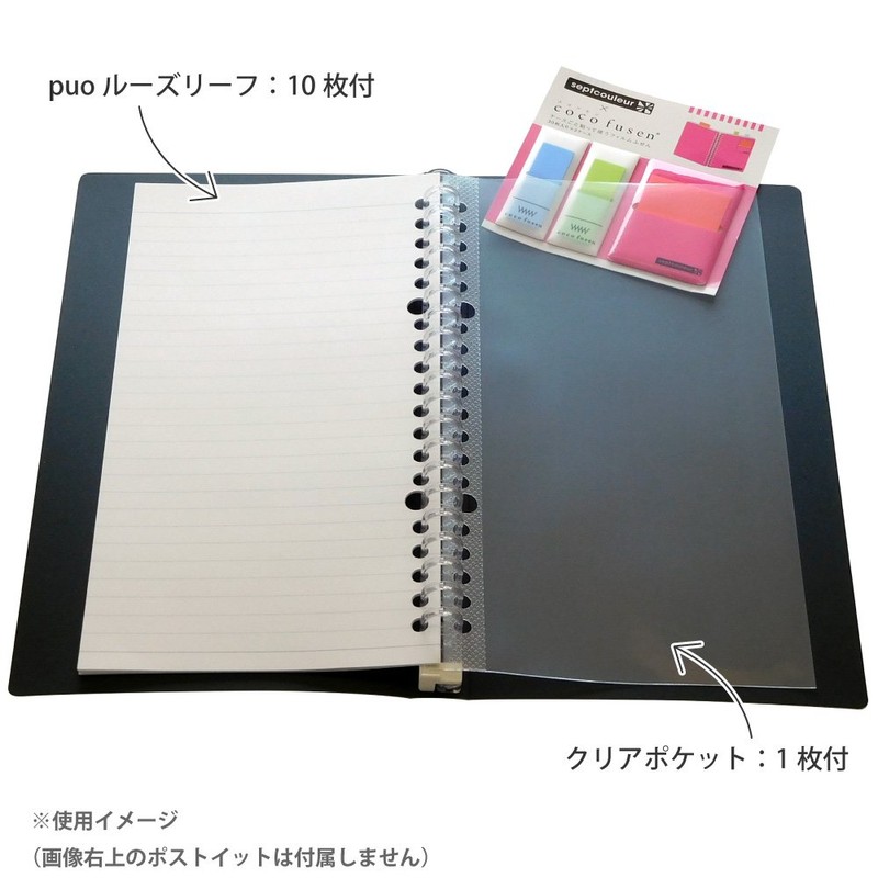 Maruman F068-05 Plastic Binder, Puo, Slim A5, Black