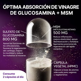 Sulfato de Glucosamina 800 mg con MSM – Suplemento Alimenticio Diario en Cápsulas – Fórmula para Hombres y Mujeres – Sin Gluten, Vegano, Sin OGM – 90 Cápsulas