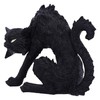Nemesis Now Small Black Cat Witches Familiar Figure Spite 23.5cm