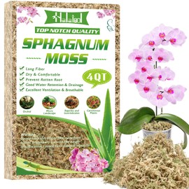 Halatool 3.6OZ Premium Sphagnum Moss for Indoor Plants, 4 QT Orchid Moss Potting Mix - Natural Sphagnum Moss for Succulents, Carnivorous(Sarracenia), Monstera, Terrarium Substrate & Reptile Habitats