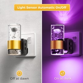 LOHAS-LED Night Light, Modern Plug in Night Light with Dusk to Dawn Sensor, RGB Colour Changing & Warm White, 3 Brightness Levels, Acrylic Rose Plug in Nightlight for Bedroom, Hallway, Stair