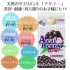 Acai & Berry 5x Dilution 16.9 fl oz (500 ml)
