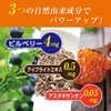 Lutein Chikara Plus 60 Tablets / 30 Day Supply Lutein