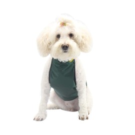 BT Bear Dog Harness, Chest and Belly Protector Pet Vest Harness Breathable Waterproof for Dogs Cats Corgi (Small, Green)