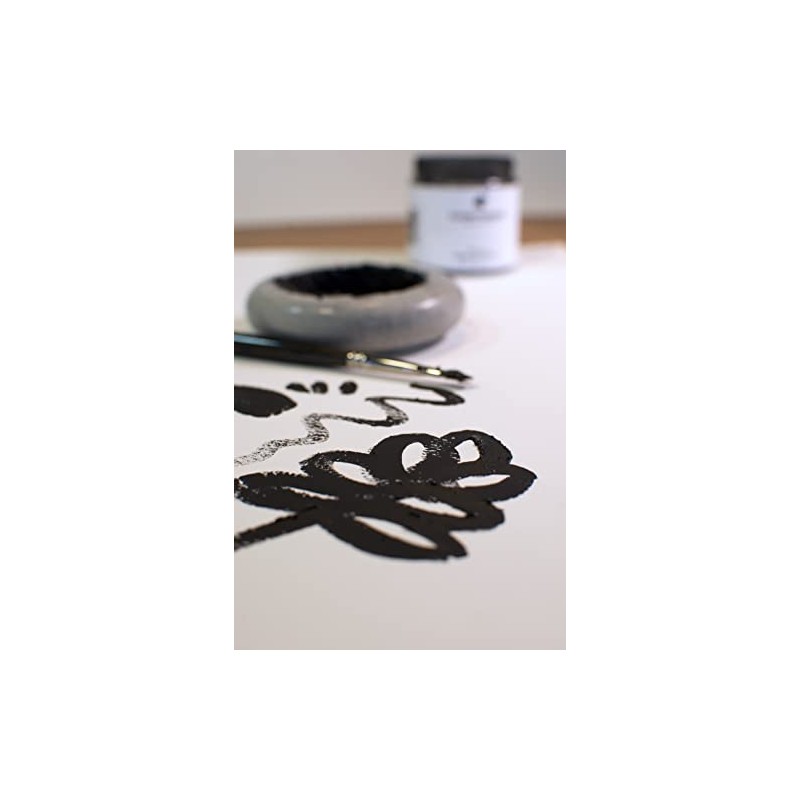 Polvo de carbón premium para dibujo y arte