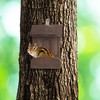 Relaxdays Squirrel Feeder for Squirrels Hanging Wooden 17.5 x 14