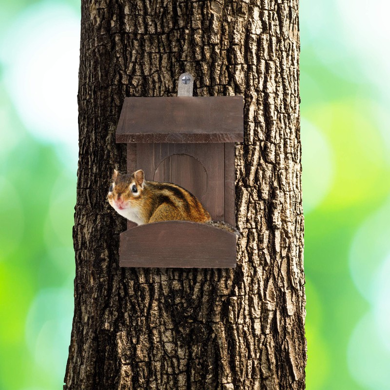 Relaxdays Squirrel Feeder for Squirrels Hanging Wooden 17.5 x 14