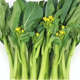 TomorrowSeeds - 70D Improved Green Yu Choy Sum Seeds - 5000+ Count - for 2026 Planting 70D Improved Green Flowering Cabbage Bok Choy Chinese Broccoli CAI Tai USA Asian Vegetable Grow Your Own Home
