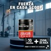 Creatina Monohidratada Warhorse 500 Gramos En Polvo Varios