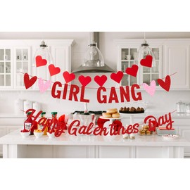 Girl Gang Banner, Happy Galentines Day Banner, Galentines Day Girls Night Party Decorations, Galentines Day Decorations, HGB Valentines Day for Girls Ladies Galentine’s Day Decorations, Pre-assembled