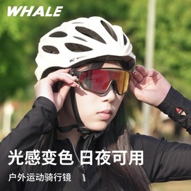 Whale Riding Sports Goggles: Windproof, Sandproof, Day/Night Running Sunglasses Outdoor Nano Light Blue 2ea