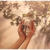 Butterfly Collection With LED Light - Animated Glass Jar Gift