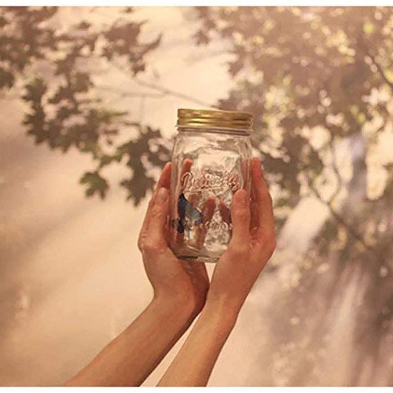 Butterfly Collection With LED Light - Animated Glass Jar Gift