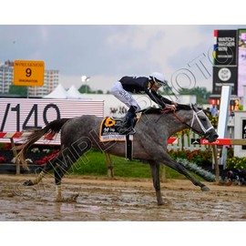 SPORTSPHOTOSUSA Seize The Grey 2024 Preakness Stakes Winner Jaime Torres Up 8x10 Photo