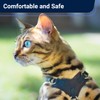 Houdini™ Escape Proof Cat Harness and Leash Set by OutdoorBengal