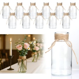 Vintage Glass Flower Vase，Vases for Farmhouse Wedding Centerpiece Cylinder Bottle,Mason Jars for Decor Floral Arrangements, Parties & Home Decor (12 PCS, Transparent)