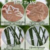 Climbing Houseplant Stem Supports,4Pcs Clear Plastic Flower Plant Growth Stake
