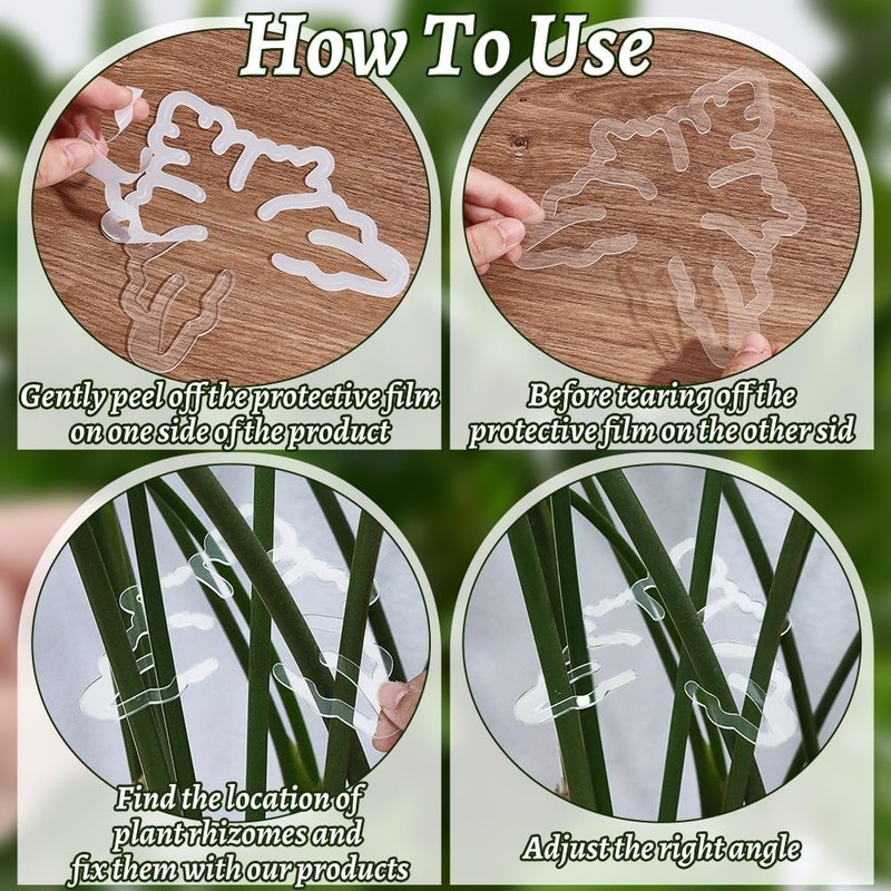 Climbing Houseplant Stem Supports,4Pcs Clear Plastic Flower Plant Growth Stake
