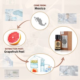 AKARZ Grapefruit Essential Oil Natural Organic Pure Premium Therapeutic Grapefruit Oil for Skin Body Hair Care,Diffuser, Candle,Soap,Making, DIY,Massage Aroma 0.34 Fl Oz (10ml)