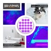 Brandson - Pet Urine Detector - LED UV Blacklight Torch
