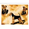 Airdale Terrier Trio Notecard Set - 12 Note Cards By