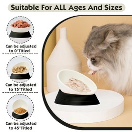 French Bulldog Food Bowl- Slanted Tilted Pug Food Water Bowl,Cat Bowl- Feeder for Frenchie/Shih Tzu/Flat Faced Small Dogs/Puppies/Cats (Black, 4 Cup)
