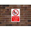 Safety First Display LTD No smoking or naked flames sign