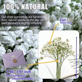 130PCS Dried Pressed Flowers, Natural Baby Breath Dried, Gypsophila Mini Breath Flowers, Real Natural Gypsophila for Vase, Crafts, Resin Art Mini Mixed Floral Set for DIY, Wedding Card