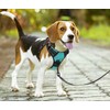 PoyPet No Pull Dog Harness with Neck Release Buckle, Reflective