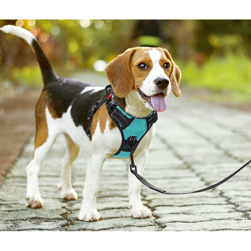 PoyPet No Pull Dog Harness with Neck Release Buckle, Reflective