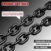 FITHOIST G80 Transport Binder Chain 5/16 Inch x 20 Foot