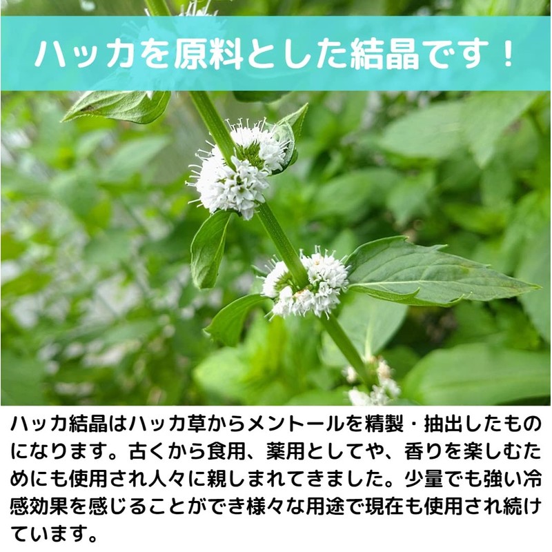 Menthol Crystal, 3.5 oz (100 g), Peppermint Brain with Zipper