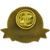 PinMart 2 Years of Service Award Lapel Pin