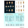 NuTone Vintage NuTone PB-14L Pushbutton Lighted Door Bell - Gold