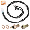 Neutral Reverse Wire Electrical Cable & Switches for Yamaha Raptor