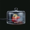 Breville Commercial CSM018 Glass Cloche for Smoking Gun Pro CSM700,