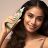 Dr.Girls More Volume Rice Water Hair Oil 6oz - Specification: