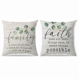 NEGIGA Rustic Wood Family Faith Definition Throw Pillow Covers 18x18 Inch Set of 2,Blessed Family Faith Signs Decor Decorative Throw Pillow Cases Pillowcases,Religious Gifts for Women Men Family